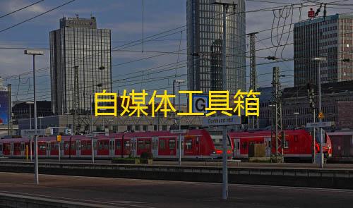 轻体直装V5.0无需卡密自媒体工具箱